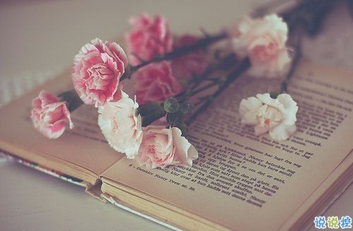�Ϸʶ���(w��)�I��